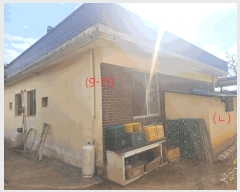  2025Ÿ��368 ���� �ξȱ� ������ ������ 653      ���ð��