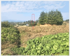  2025Ÿ��368 ���� �ξȱ� ������ ������ 653      ���ð��