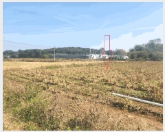  2025Ÿ��368 ���� �ξȱ� ������ ������ 653      ���ð��