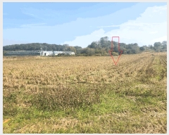  2025Ÿ��368 ���� �ξȱ� ������ ������ 653      ���ð��