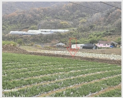  2025Ÿ��385  �����