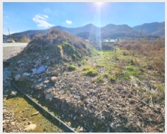  2025Ÿ��385  �����