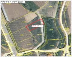  2025Ÿ��385  �����