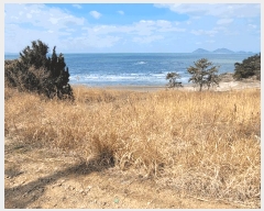  2025Ÿ30161  ξȱ  ׸ 400-3      (1)