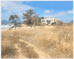  2025Ÿ30161  ξȱ  ׸ 400-3      (1)