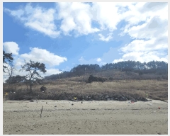  2025Ÿ30161  ξȱ  ׸ 400-3      (1)