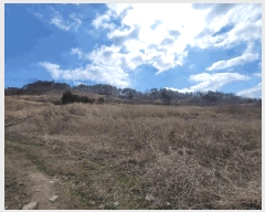  2025Ÿ30161  ξȱ  ׸ 400-3      (1)