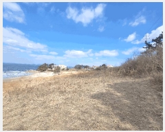  2025Ÿ30161  ξȱ  ׸ 400-3      (1)