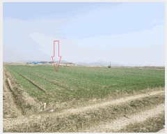  2025Ÿ��30187 ���� �ξȱ� �ֻ�� ���̸� 1033      ����(��)���