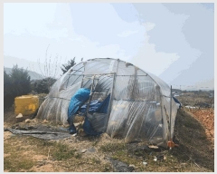  2025Ÿ��30187 ���� �ξȱ� �ֻ�� ���̸� 1033      ����(��)���