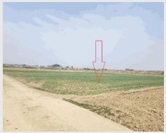  2025Ÿ��30187 ���� �ξȱ� �ֻ�� ���̸� 1033      ����(��)���