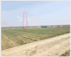  2025Ÿ��30187 ���� �ξȱ� �ֻ�� ���̸� 1033      ����(��)���