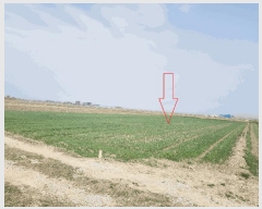  2025Ÿ��30187 ���� �ξȱ� �ֻ�� ���̸� 1033      ����(��)���