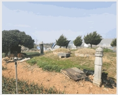  2025Ÿ��30187 ���� �ξȱ� �ֻ�� ���̸� 1033      ����(��)���