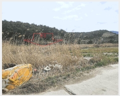  2025Ÿ��30204 ���� �ξȱ� ����� ������ 369-9      ����(��1)���