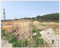  2025Ÿ��30204 ���� �ξȱ� ����� ������ 369-9      ����(��1)���