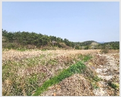  2025Ÿ��30204 ���� �ξȱ� ����� ������ 369-9      ����(��1)���