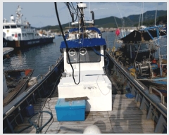  2025Ÿ��30215  ���ڰ��