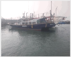  2025Ÿ��30215  ���ڰ��