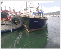  2025Ÿ��30215  ���ڰ��