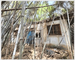  2025Ÿ��30246  ���ð��