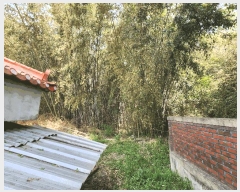  2025Ÿ��30246  ���ð��