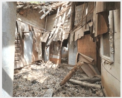  2025Ÿ��30246  ���ð��