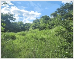  2025Ÿ��30260  �Ӿ߰��