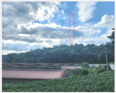  2025Ÿ��30260  �Ӿ߰��