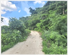  2025Ÿ��30260  �Ӿ߰��