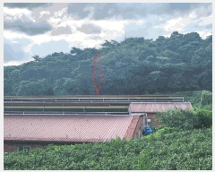  2025Ÿ��30260  �Ӿ߰��