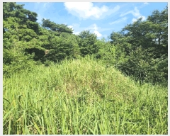  2025Ÿ��30260  �Ӿ߰��