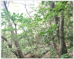  2025Ÿ��30260  �Ӿ߰��