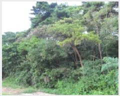  2025Ÿ��30260  �Ӿ߰��