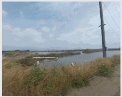  2025Ÿ30275  â ξȸ Ӹ       ǰ