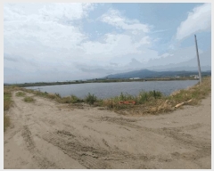  2025Ÿ30275  â ξȸ Ӹ       ǰ