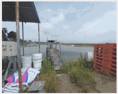  2025Ÿ30275  â ξȸ Ӹ       ǰ