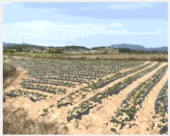  2025Ÿ30278  â ۸ 縮 2118      ()