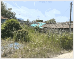  2025Ÿ30278  â ۸ 縮 2118      ()