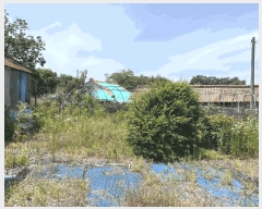  2025Ÿ30278  â ۸ 縮 2118      ()