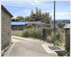  2025Ÿ30278  â ۸ 縮 2118      ()