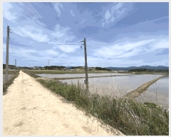  2025Ÿ30278  â ۸ 縮 2118      ()