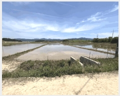  2025Ÿ30278  â ۸ 縮 2118      ()