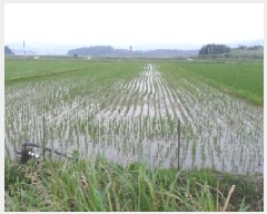  2025Ÿ��30278  �����