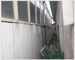  2025Ÿ��30281  ���ð��