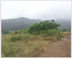  2025Ÿ��30293 ���� �ξȱ� ����� ��û�� 360      ����(��1)���