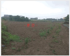  2025Ÿ��30293 ���� �ξȱ� ����� ��û�� 360      ����(��1)���