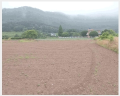  2025Ÿ��30293 ���� �ξȱ� ����� ��û�� 360      ����(��1)���