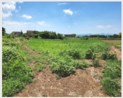  2025Ÿ��30293 ���� �ξȱ� ����� ��û�� 360      ����(��1)���