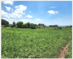  2025Ÿ��30293 ���� �ξȱ� ����� ��û�� 360      ����(��1)���